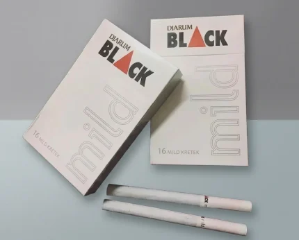 Djarum Black Mild Sigara