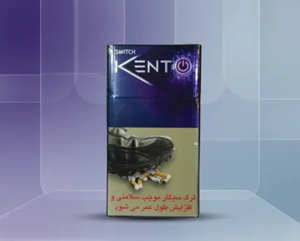 Kent Switch Touch Blueberry Sigara
