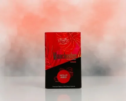 Manchester Wild Red Nano Sigara